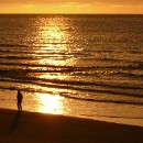 FG Mannheim 28 Bartmann Horst